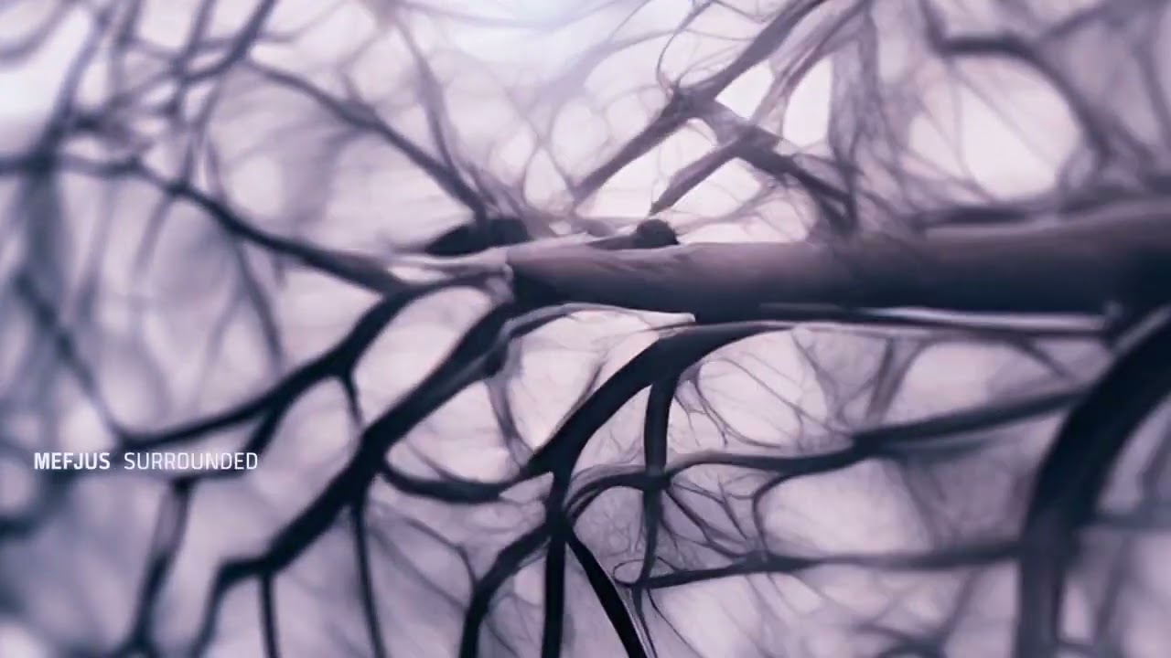 Mefjus - Surrounded (Calyx Remix)
