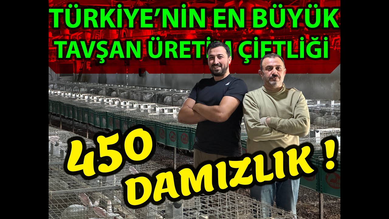 DEVASA ETLİK TAVŞAN ÜRETİM ÇİFTLİĞİ ! | 8 AYDA BAŞARDI ! |