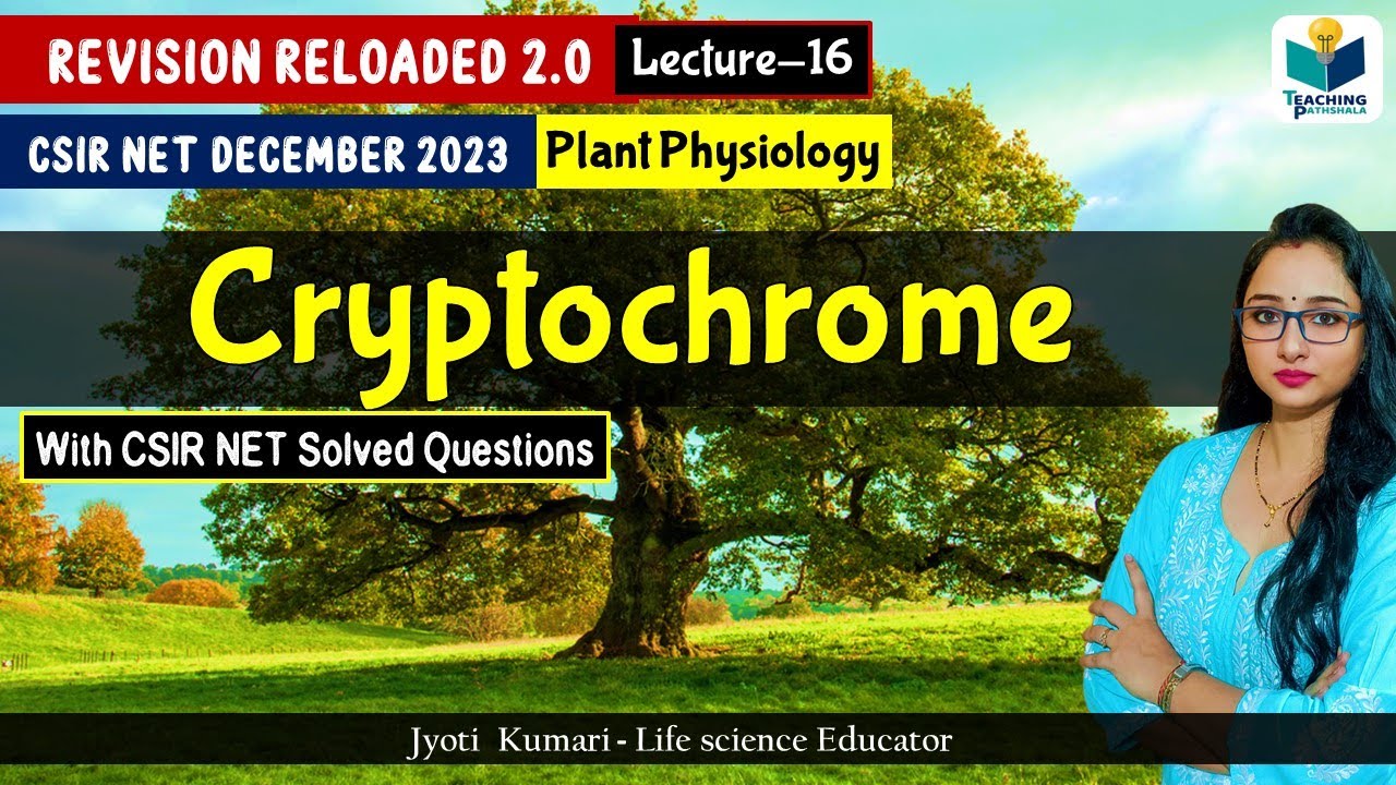 Revision Reloaded 2.0 | Cryptochrome  |CSIR Dec 2023 |Lecture 16 | Plant Physiology
