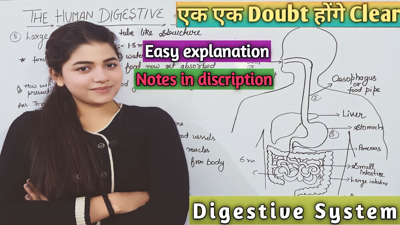 Human Digestive System | मानव पाचन तंत्र | Full And Easy Explanation | Life Process | Class 10th