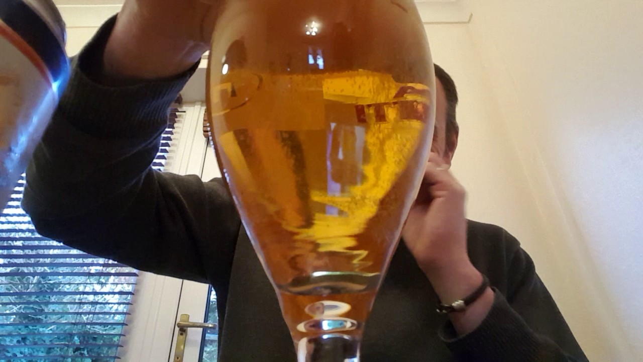 lidl excelsior lager