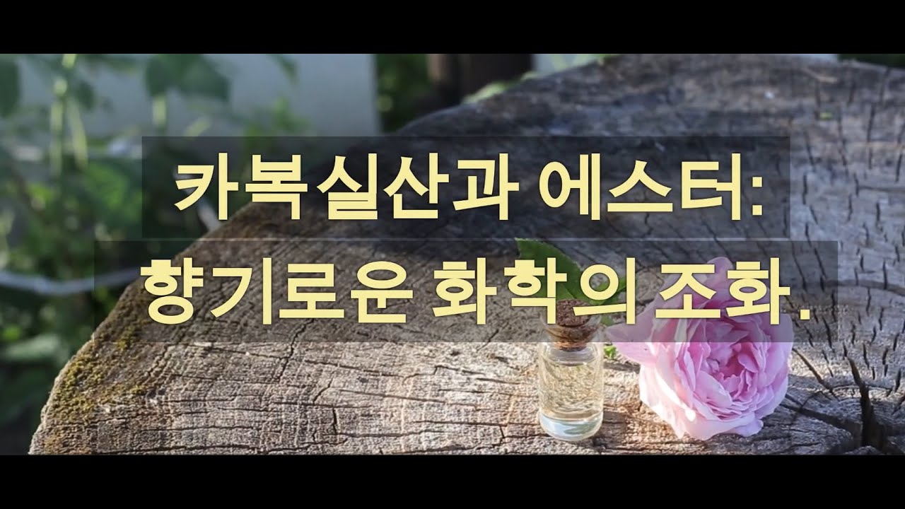 카복실산과 에스터: 향기로운 화학의 조화 | Carboxylic Acids and Esters: The Harmony of Fragrant Chemistry