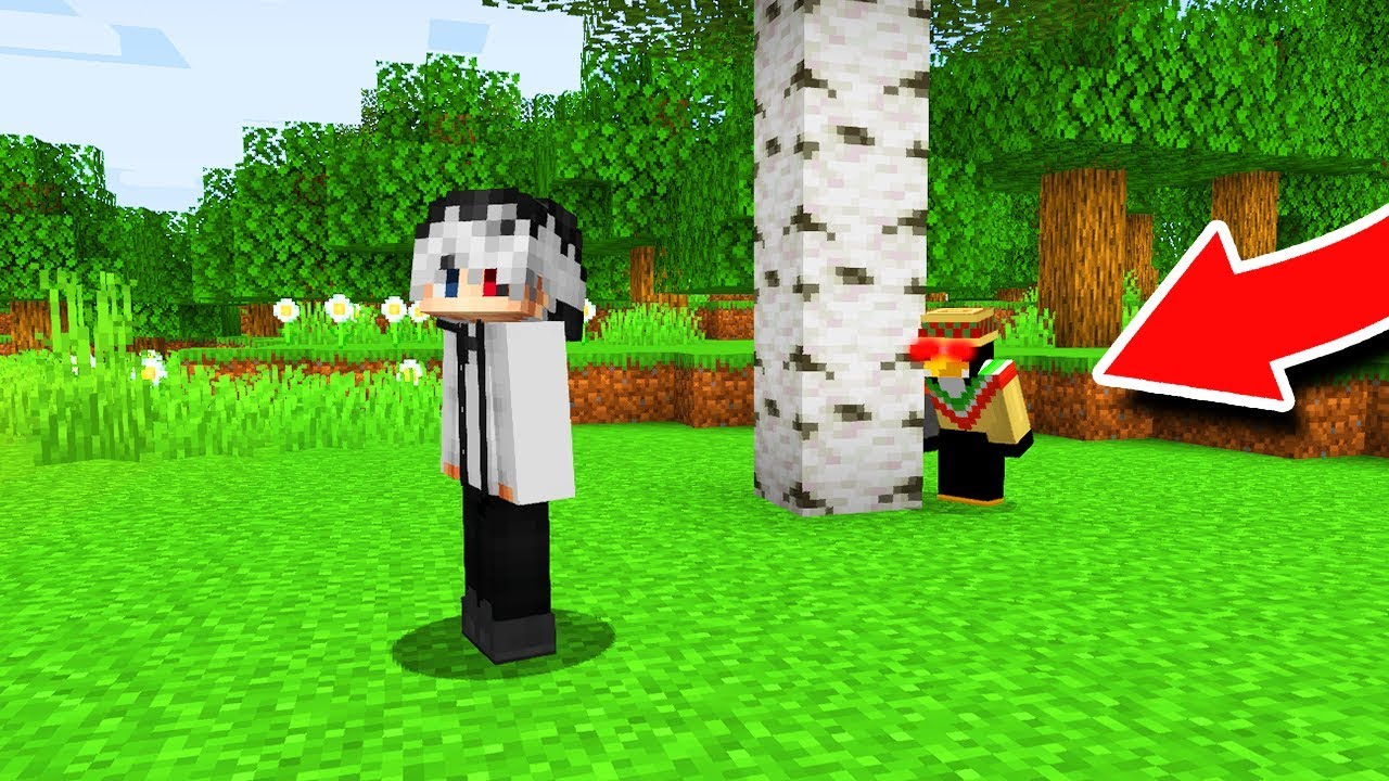 Minecraft, Dar Un Asasin Ma Urmareste..