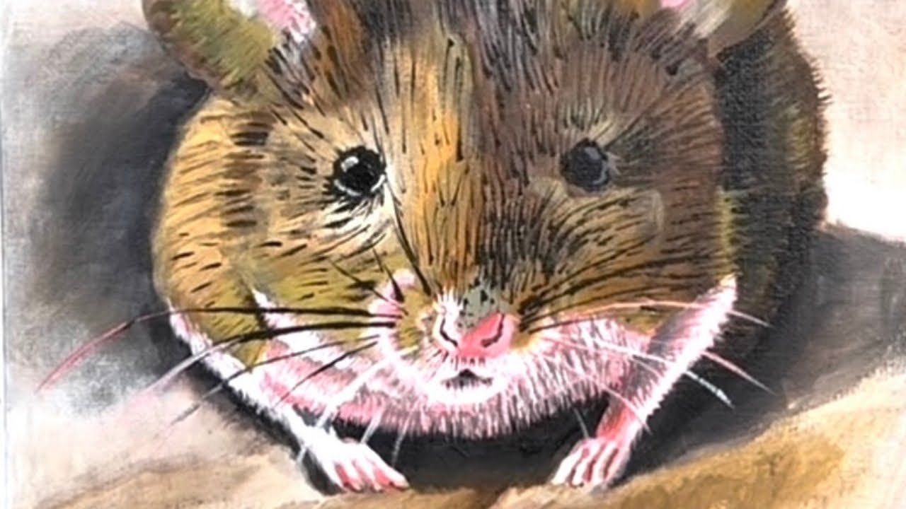 Timelapse Painting a Field mouse in Acrylic 