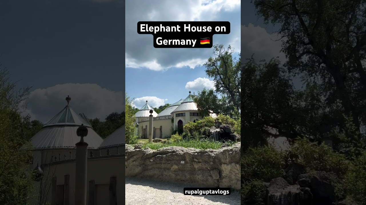 Exploring the Majestic Elephant House 🐘🏰 | Untold History of Germany's Elephant Sanctuary 