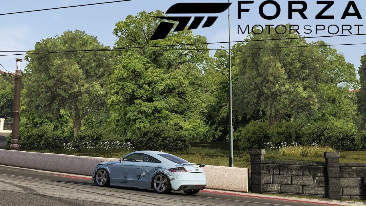 Forza Motorsport - 2D 🌳Trees🌳  in 2017?