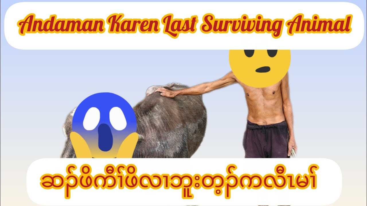 Andaman Last Surviving Animal @INSPIREကညီဖိ 