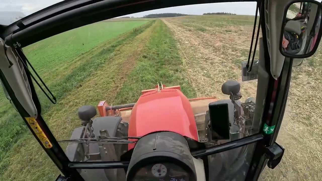 Maisstoppel mulchen Massey Ferguson 5711m + Agrimaster