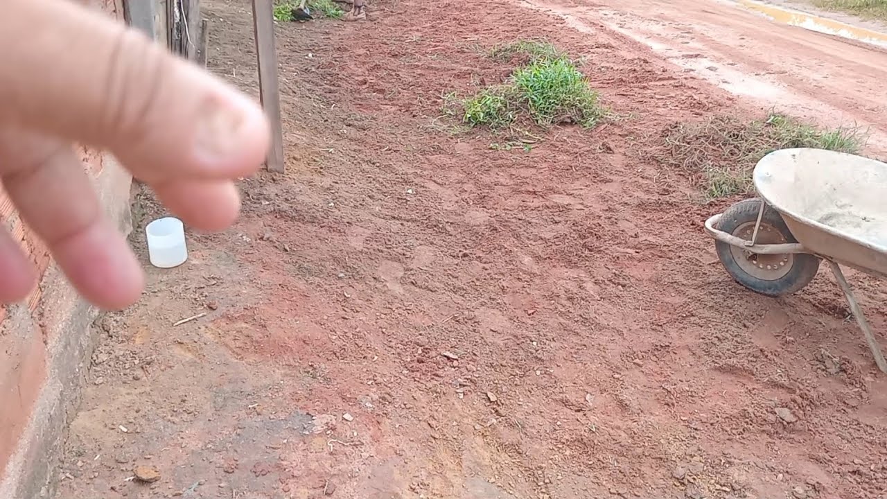 Limpando  a frente  da minha casa 