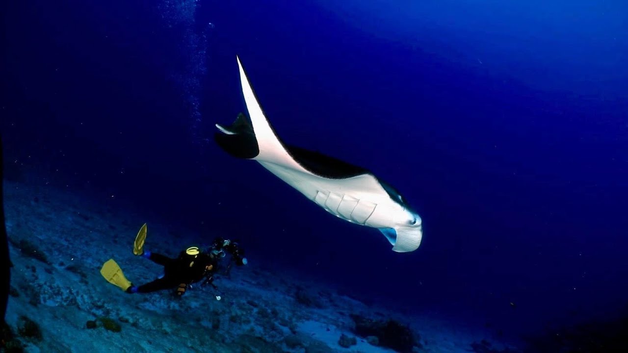 Maldives Deep South March 2024