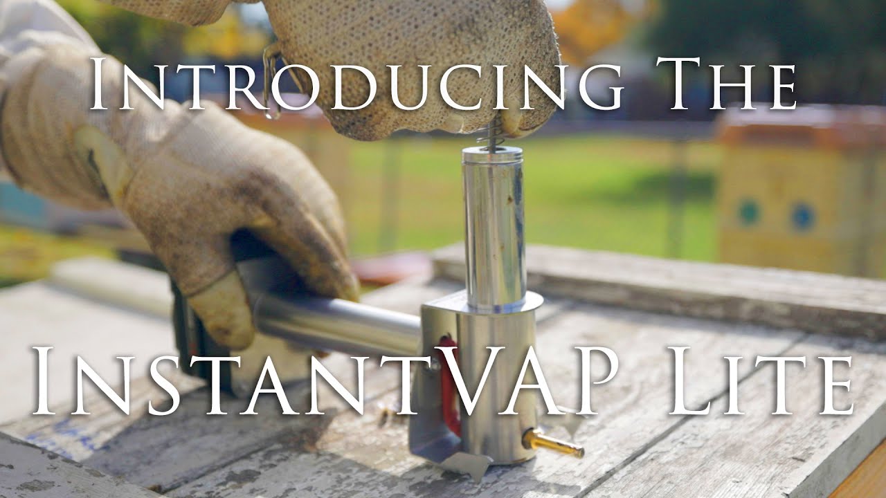 Affordable Varroa Mite Solution for the Backyard Beekeeper