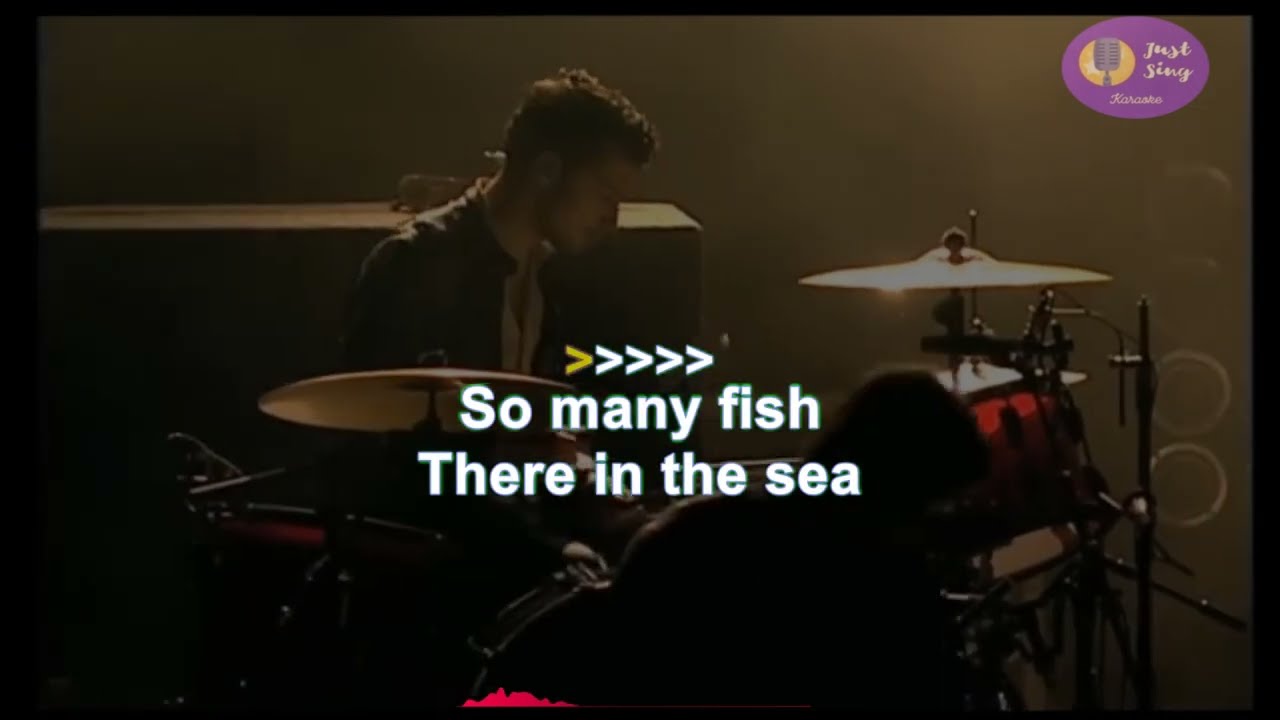 The Strokes - Automatic Stop (Karaoke version)