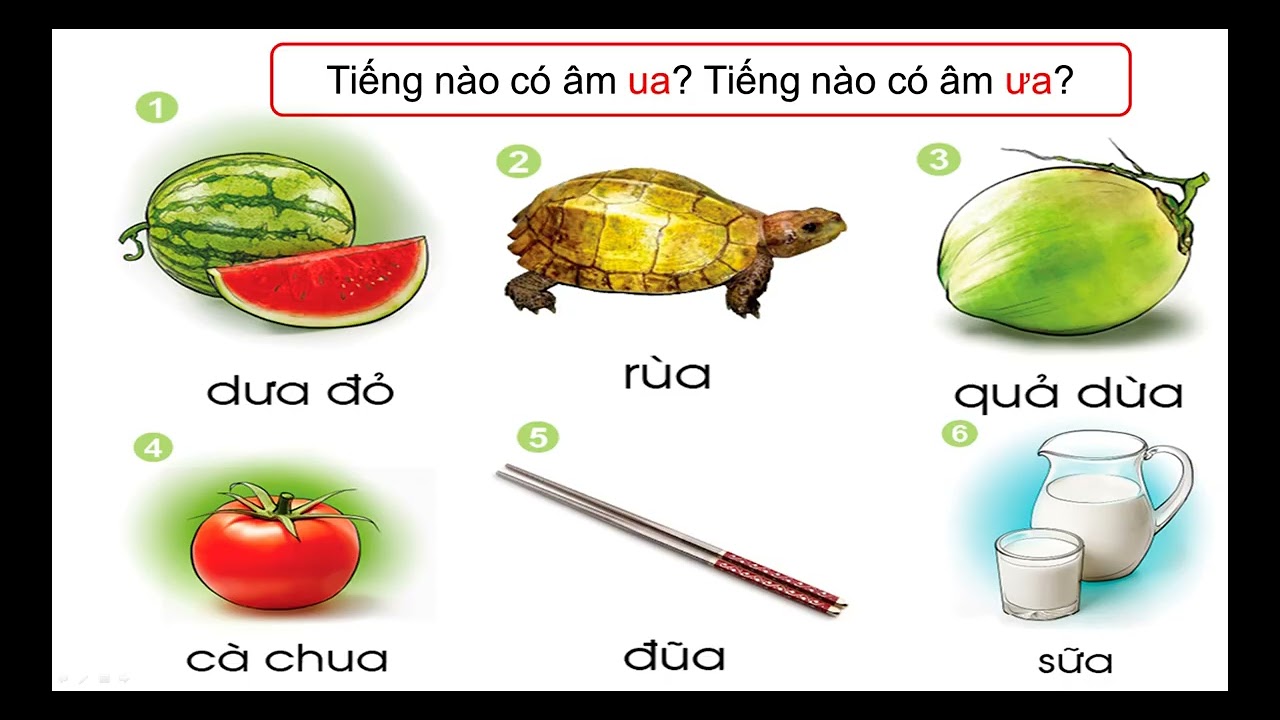 Tiếng Việt 1 | Tuần 7 | Bài: ua - ưa