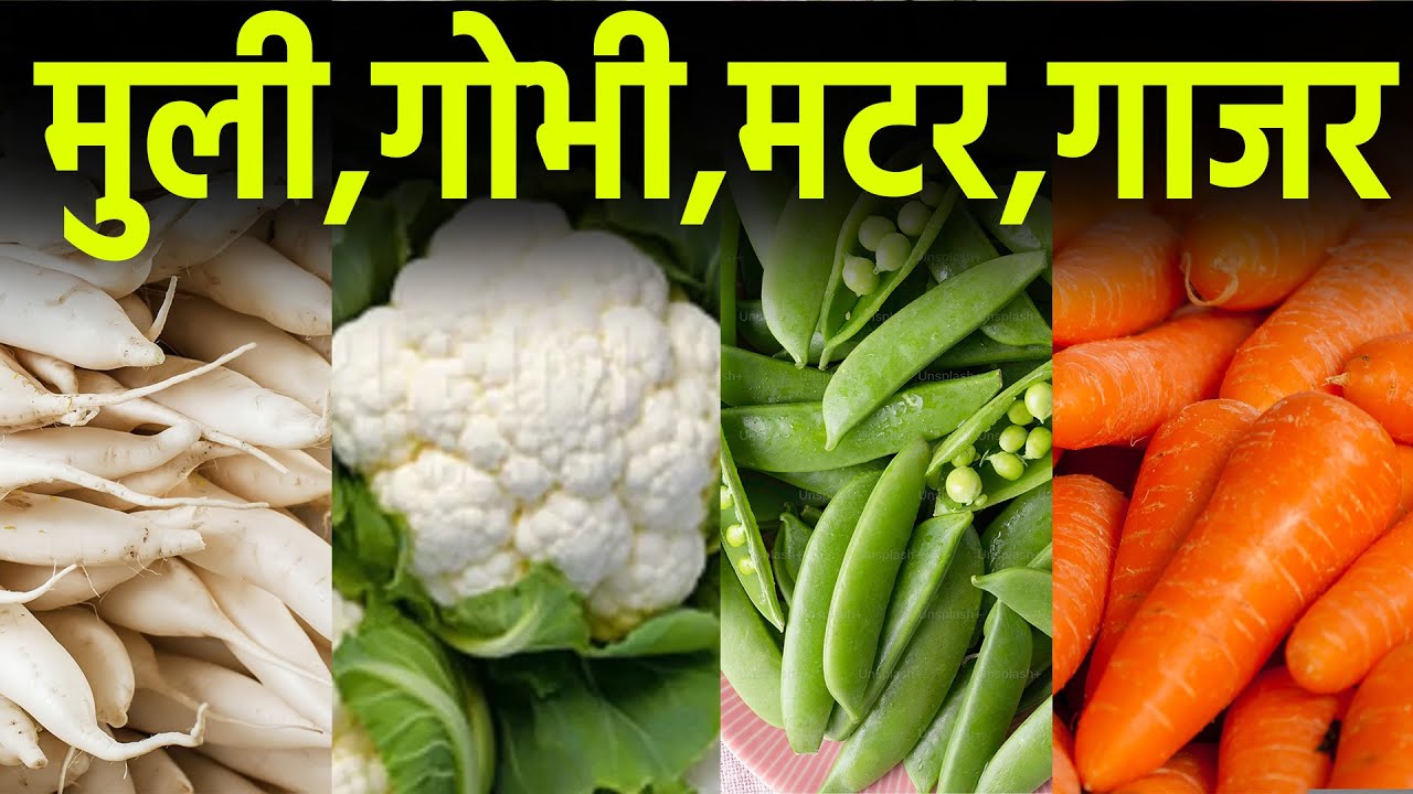 गोभी की रिकॉर्डिंग II गाजर का प्रचार II मटर बेचने की रिकॉर्डिंग II मुली का ऑडियो प्रचार 2025