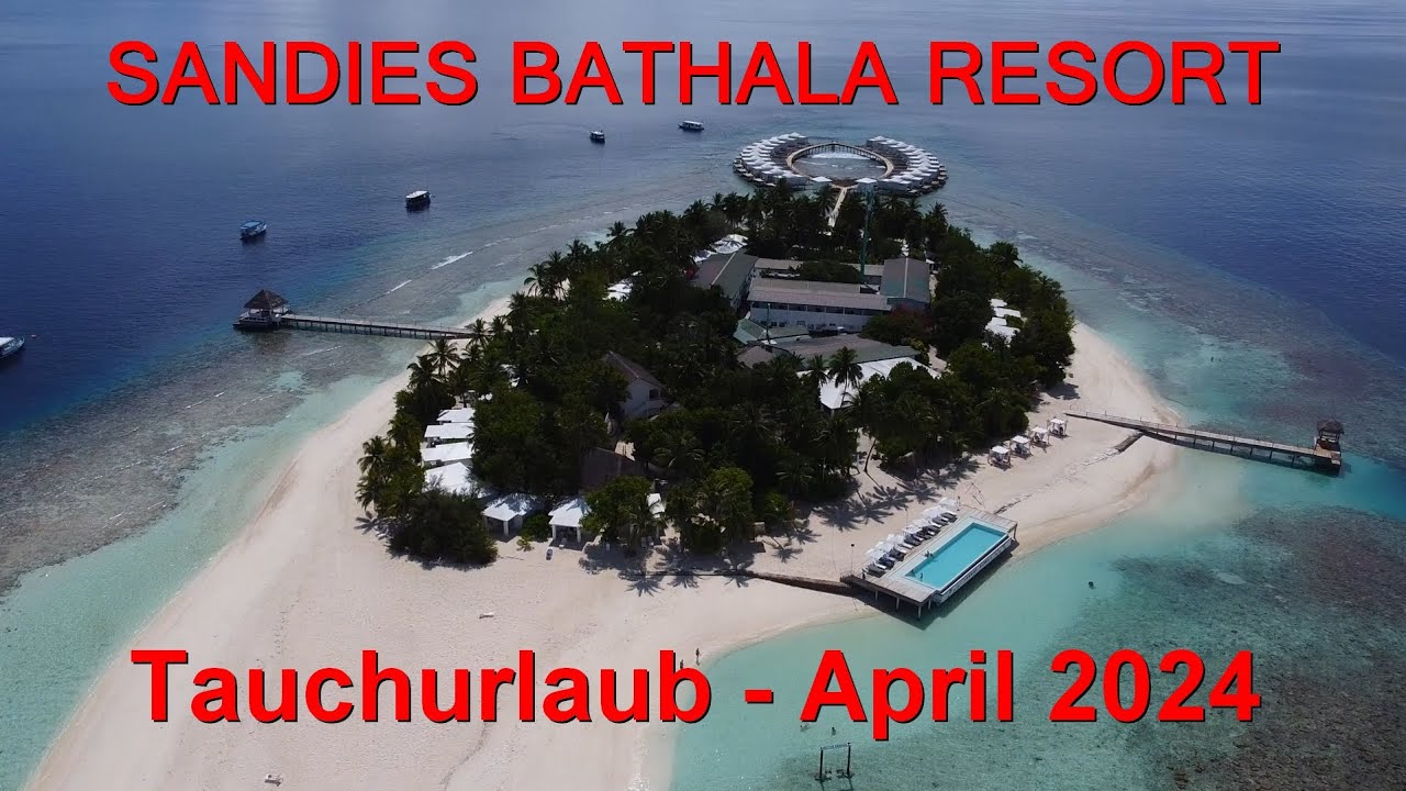 Tauchurlaub im SANDIES BATHALA RESORT auf den Malediven - April 2024