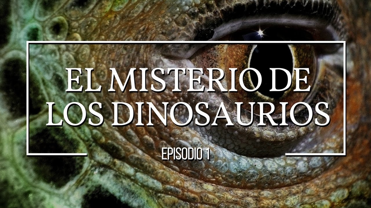 El misterio de los dinosaurios: Dinosaurios #1