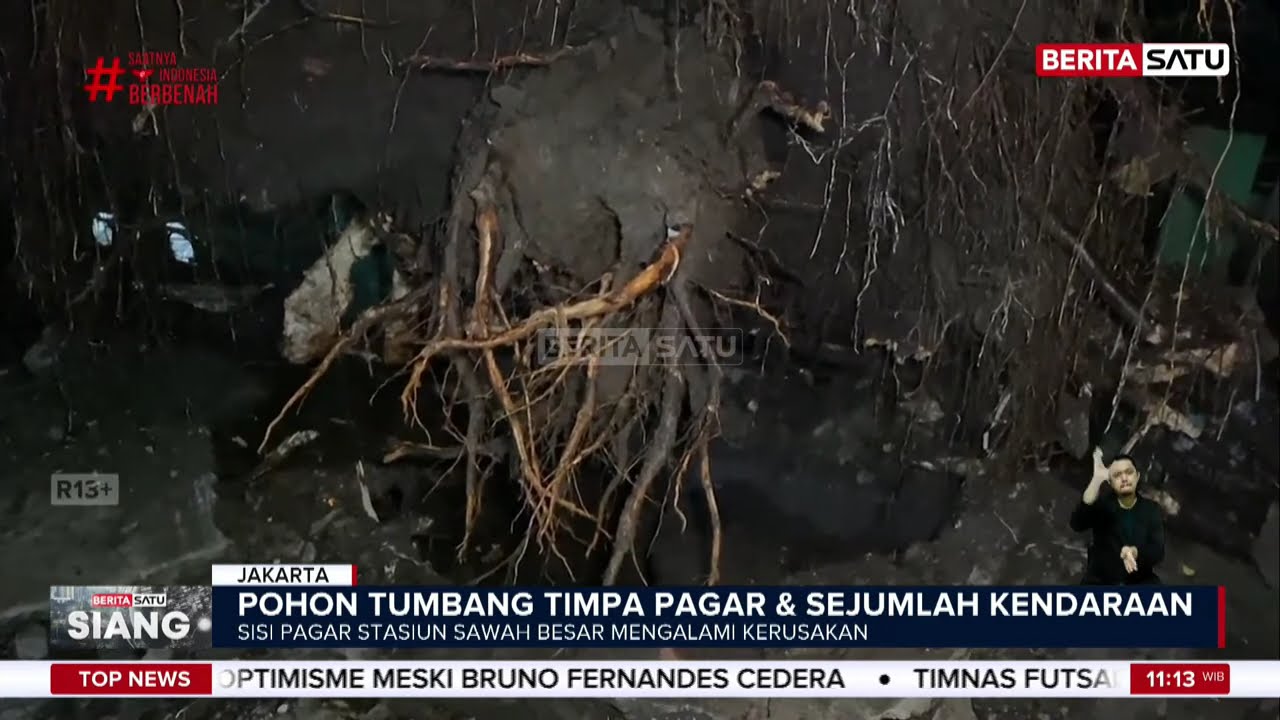 Pohon Besar Setinggi 20 Meter Tumbang dan Timpa Mobil di Stasiun Sawah Besar #Beritasatu