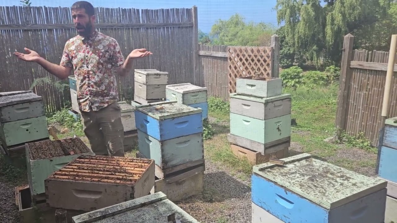 Talking About Bees (at Big Island Bees)