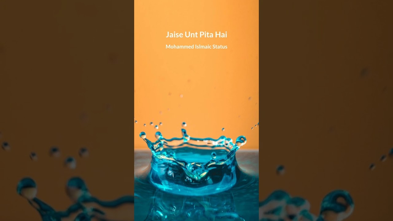 #Hadees02 Pani Ek Ghut Me Na Piyo By Mufti Safiullah Misbahi Sahab &hearts;️