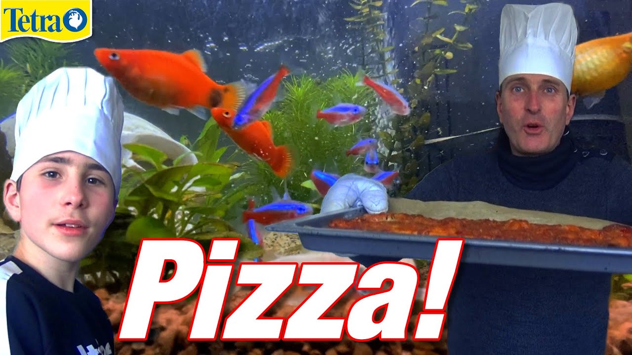 Aquarium & Unsere Lieblingspizza | VLOG #293 | Stefan und John