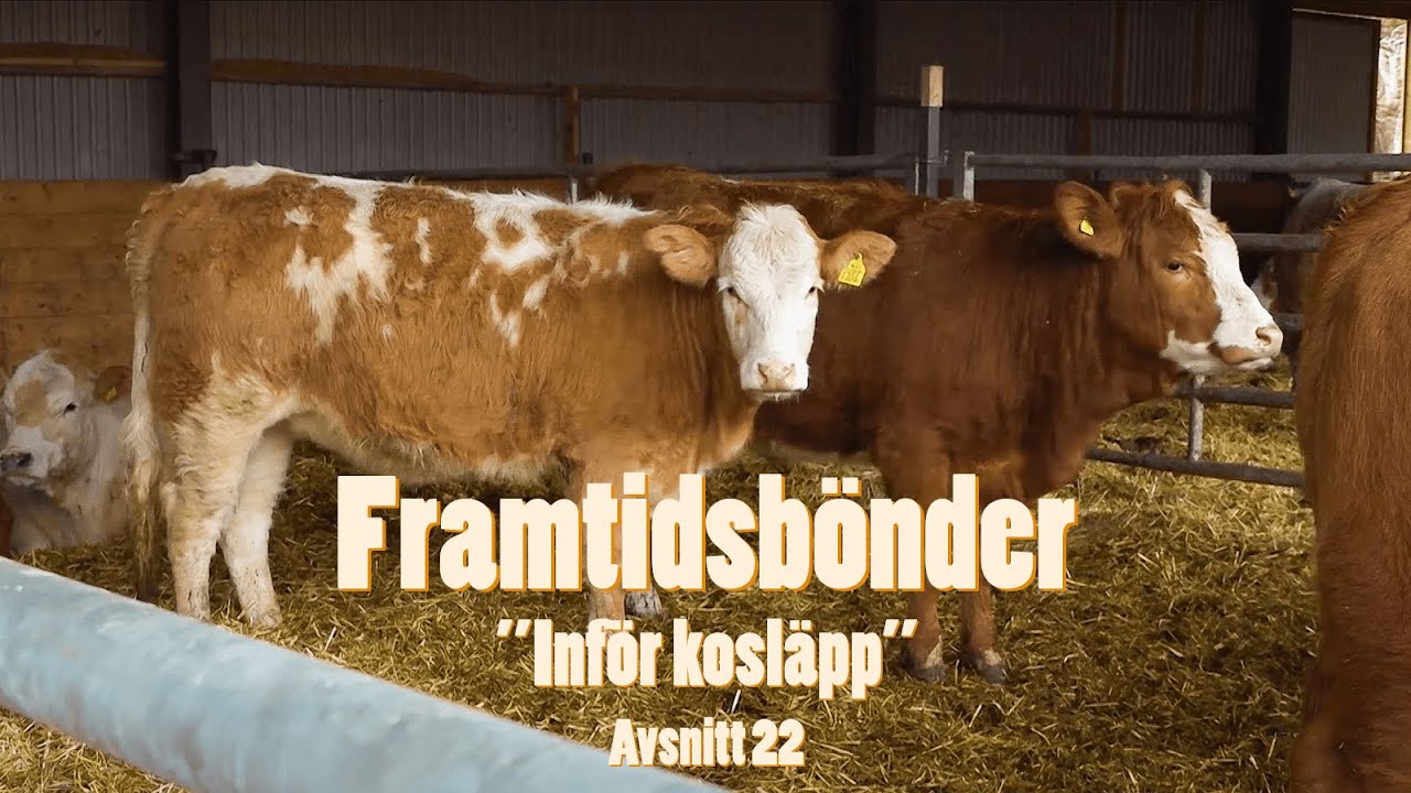 Framtidsbönder Avsnitt 22 - Vismarlövsgården i Skåne