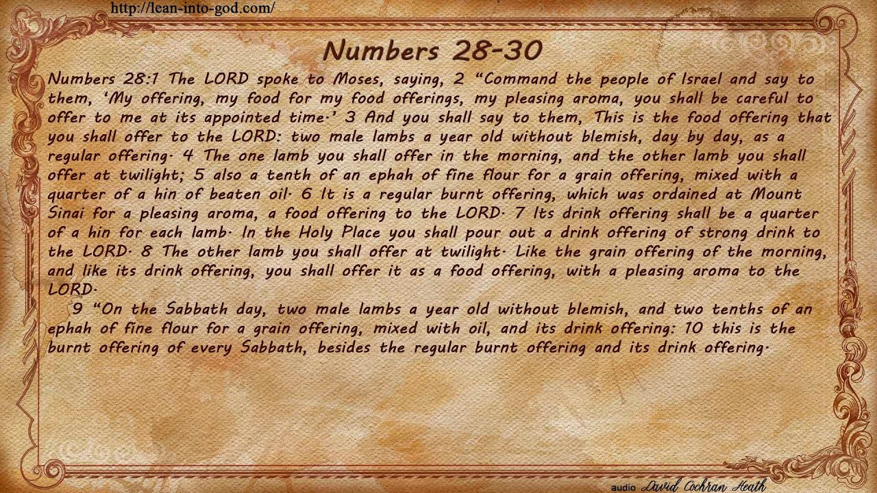 Numbers 28-30