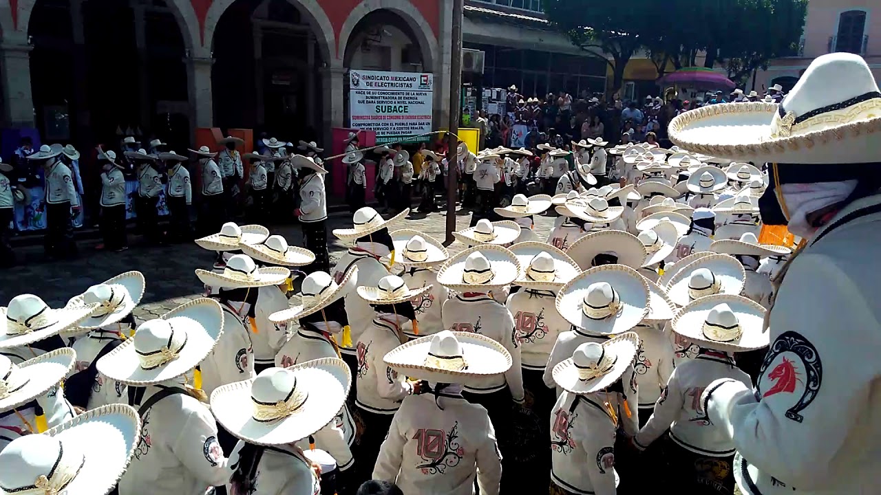Carnaval 2018 Comparsa el Potro