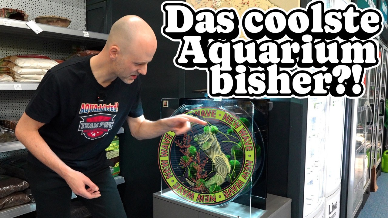 Die edelste Mooswaschmaschine der Welt | von NewWave