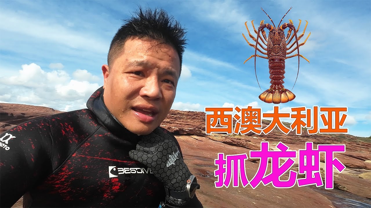西澳大利亚Kalbarri潜水抓龙虾！