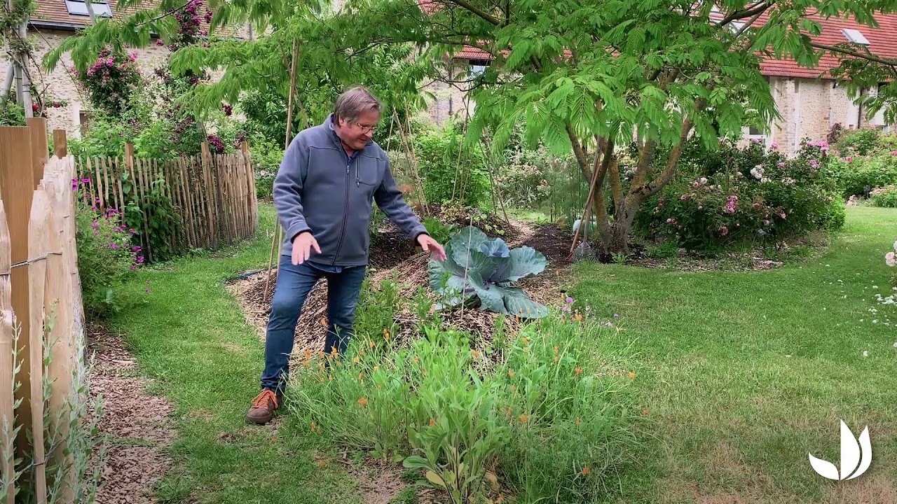 Plantations sur butte mara&icirc;ch&egrave;re en spirale - Ann&eacute;e 2 (Permaculture) - Truffaut
