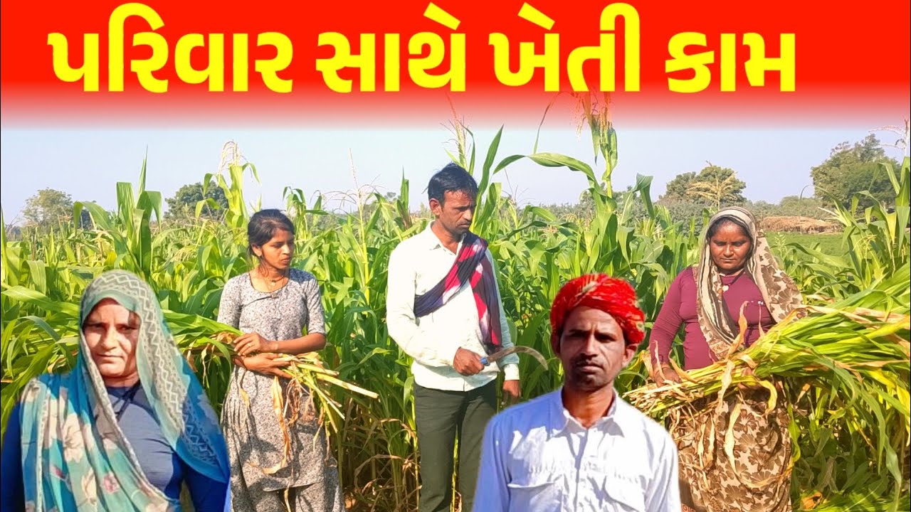 પરિવાર સાથે ખેતી કામ ||Gujarati new Vllog 🥰