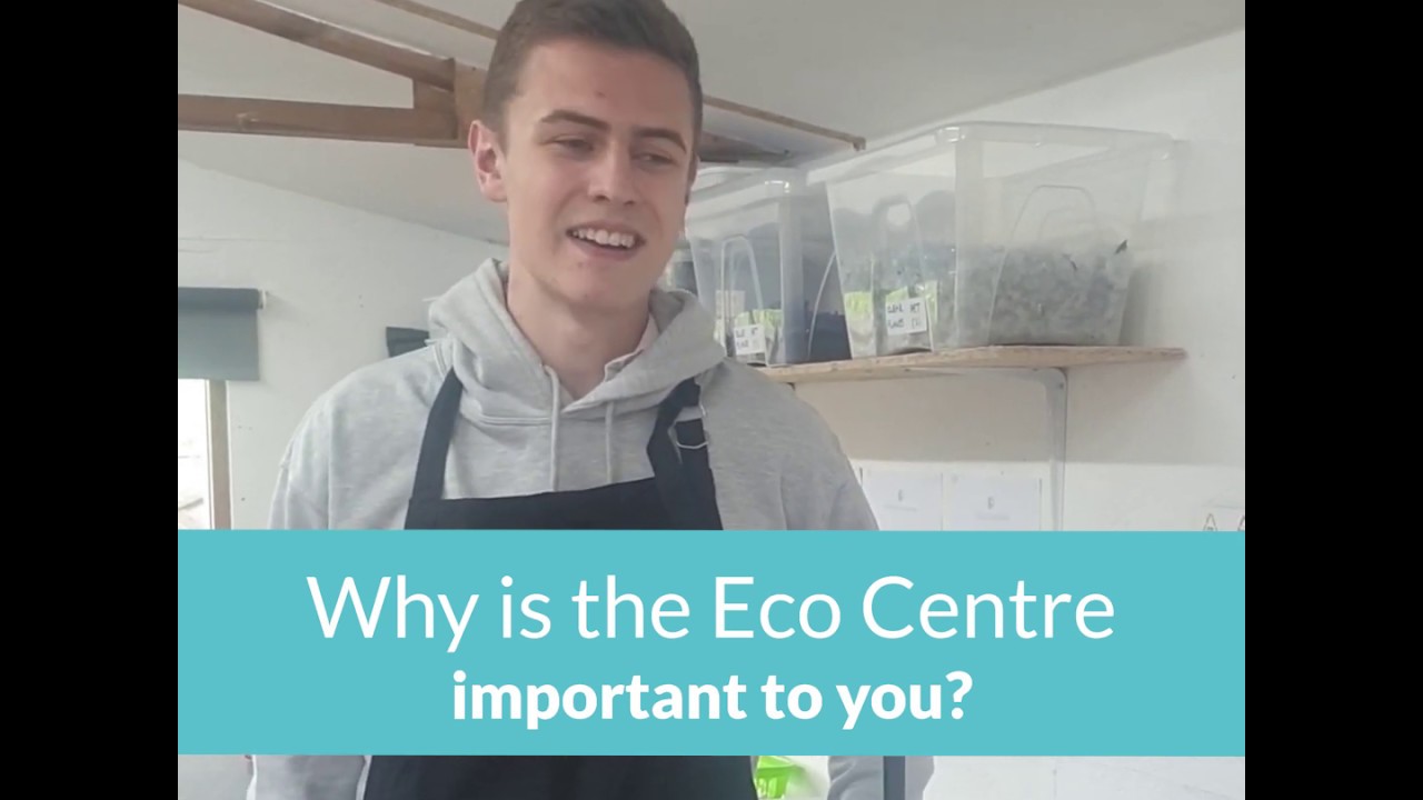 Globe Eco Centre from a volunteer perspective