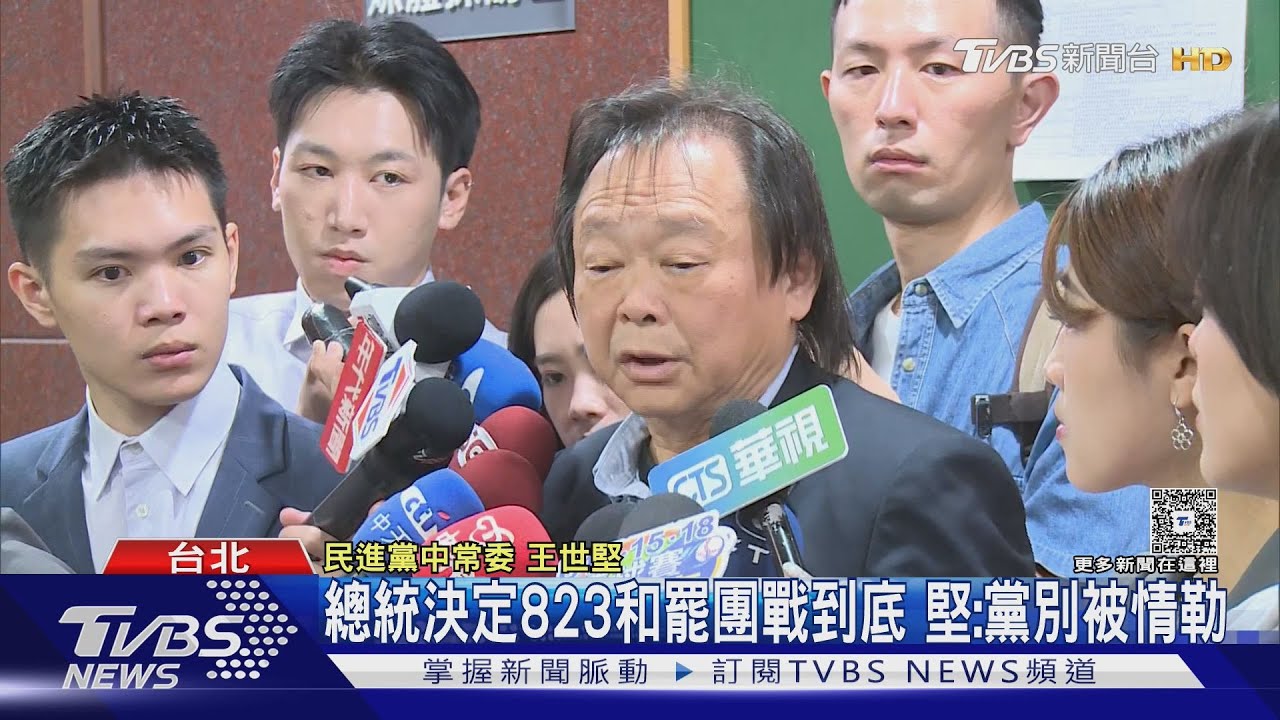 籲停止823遭圍剿 王世堅:說不出大罷免大成功｜TVBS新聞 @TVBSNEWS01