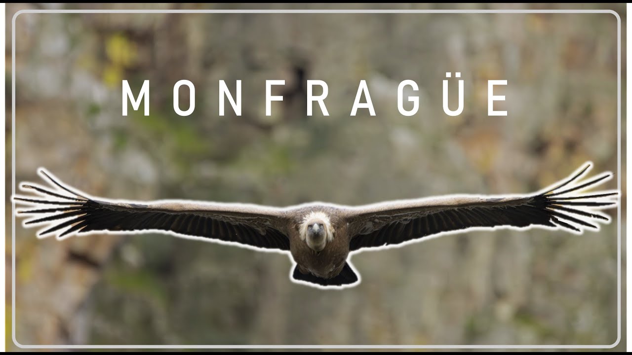 DOS DÍAS EN MONFRAGÜE 🦅 ¿Qué nos encontramos?