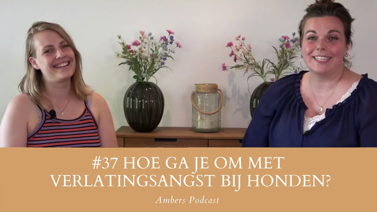 #37 Hoe ga je om met verlatingsangst bij honden: in gesprek met Lisse van de Groep