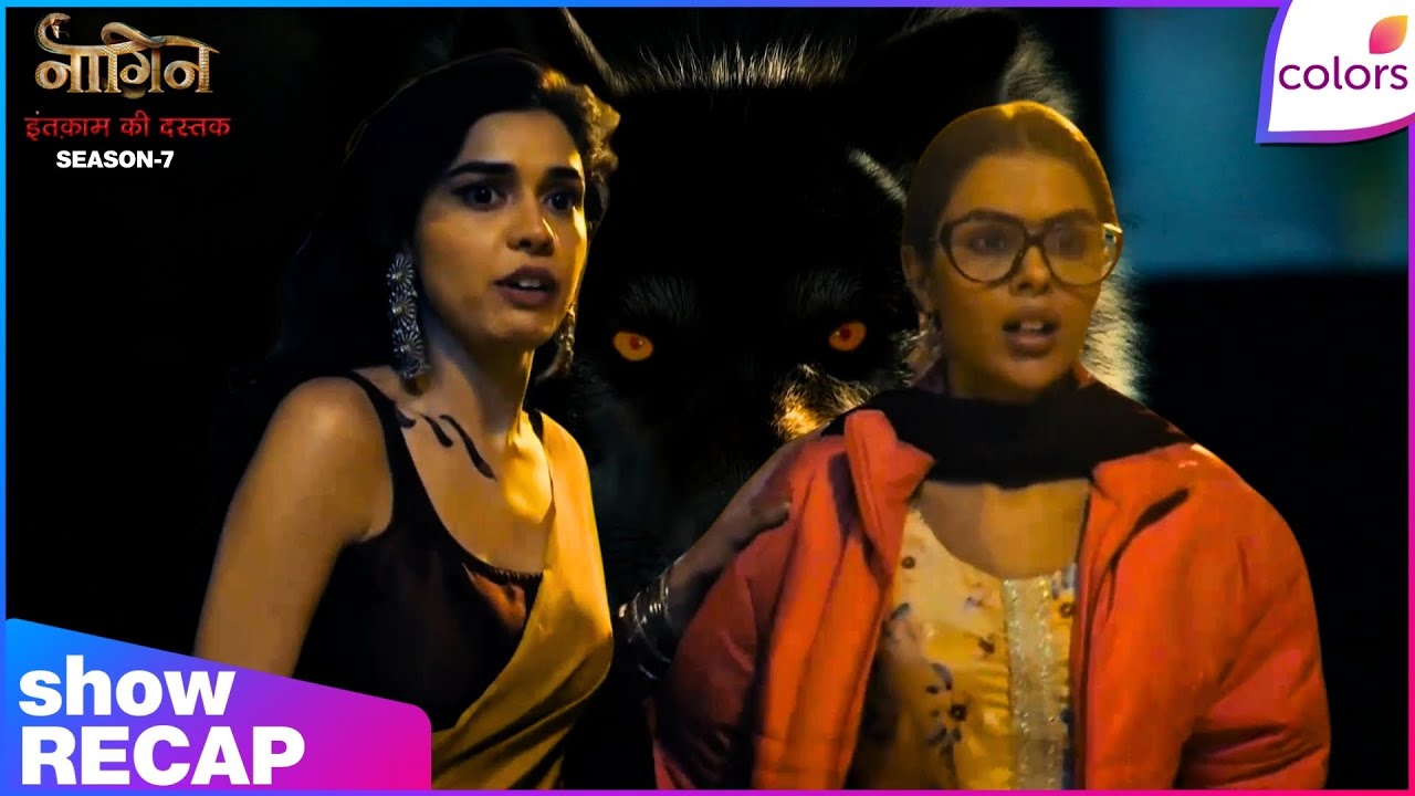 Naagin S7 | Ep. 3 | Parmeet's Pet Wolf Attacks Ananta & Purvi | Recap | Colors TV