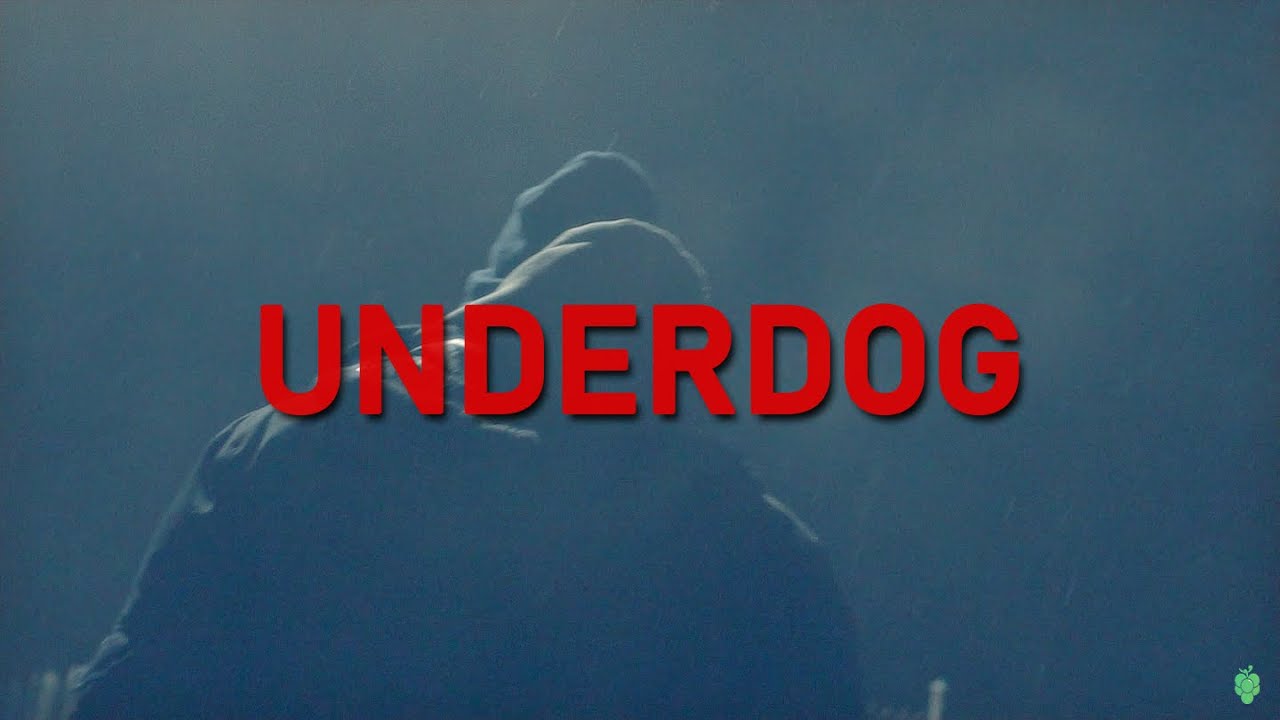 SALWA - UNDERDOG (🎥 Andrey0ung)
