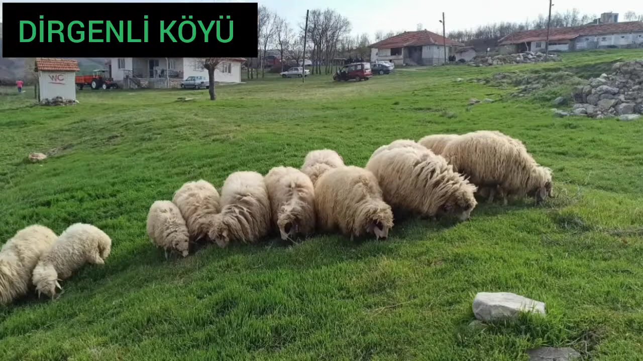 Çorum Ortaköy Esentepe köyü 