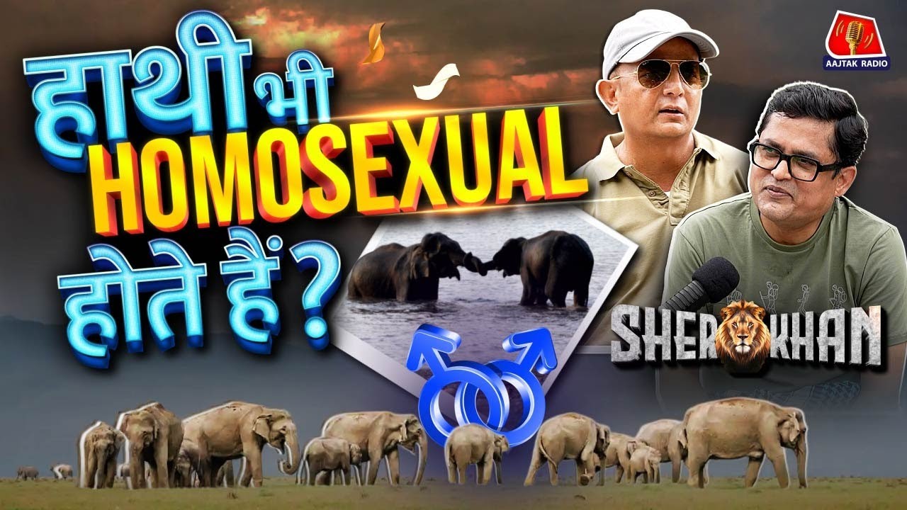 Jim Corbett के homosexual हाथी, tigers और tourists के मज़ेदार क़िस्से: Sher Khan S2 Ep 9 | Wildlife