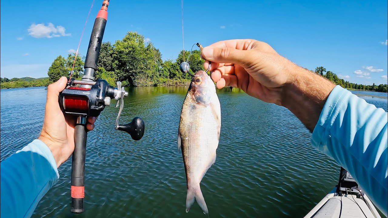 BIG Catfish + Buzzard MAYHEM = WILD Fishing Trip DISASTER!!!