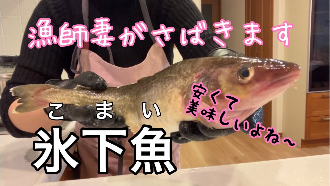 漁師妻がさばきます【コマイ】【汁物】