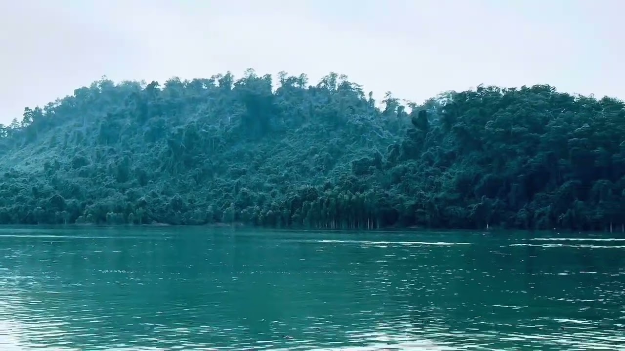 Âm Thanh Nước Chảy & Chim Hót | Nhạc Chữa Lành, Tĩnh Tâm, Tập Trung & Ngủ Sâu- Relaxing Water Sounds