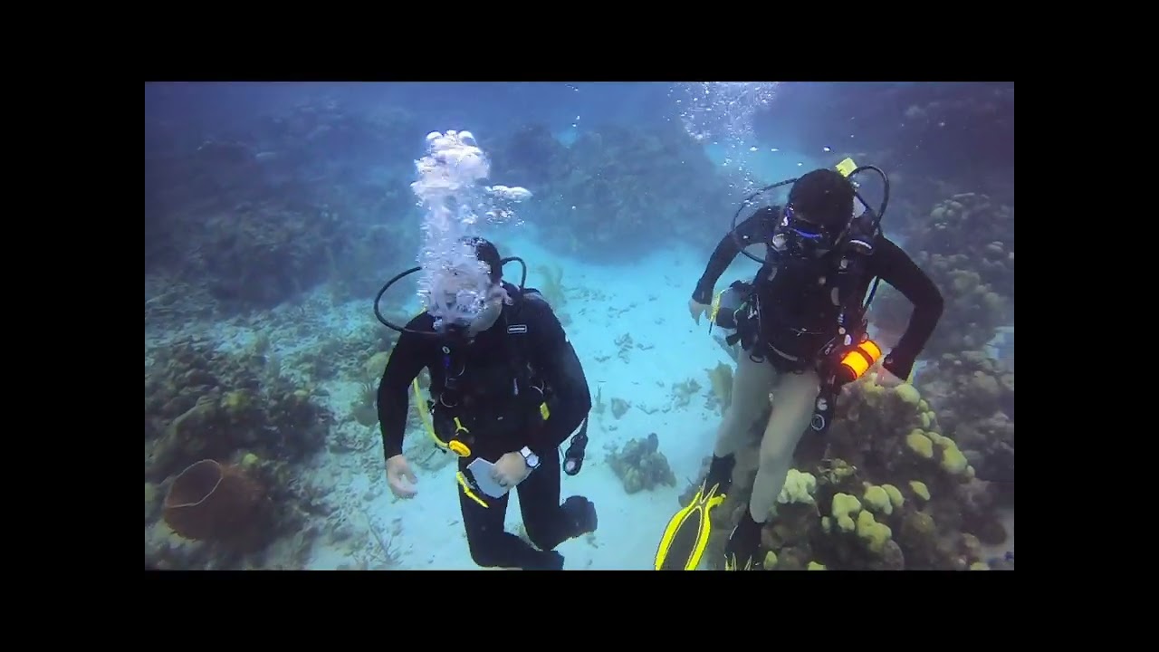 Study Abroad 2025 Promo