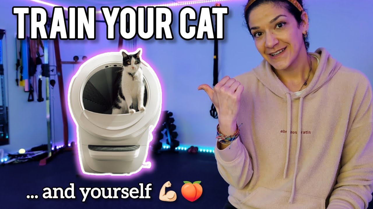 How to get my cat to use the Litter Robot 4? STEP BY STEP training tips!