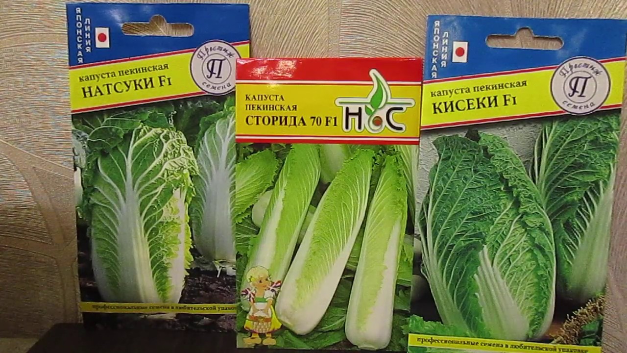 Лучшие гибриды пекинской капусты.02.12.2019