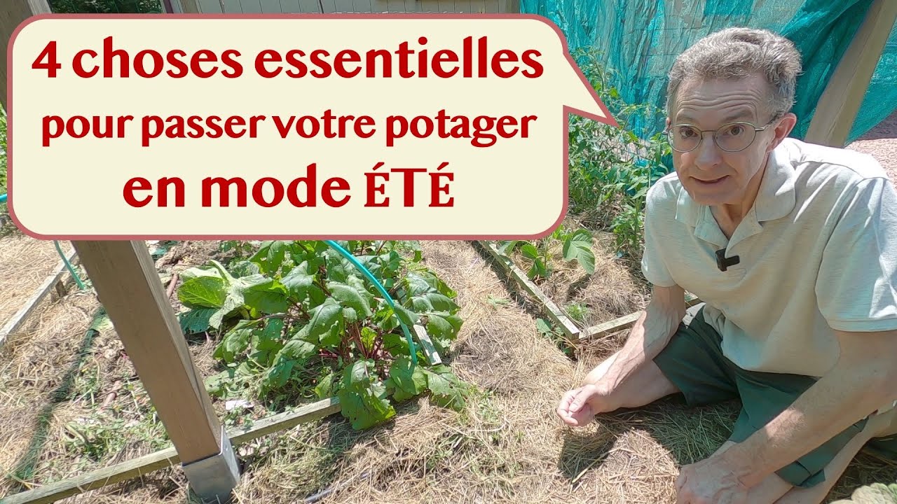 4 choses essentielles pour passer votre potager en mode été
