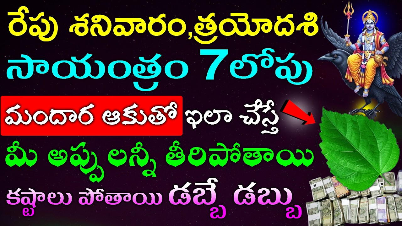 రేపు  శనివారం త్రయోదశి  సాయంత్రం 7లోపు మందార ఆకుతో ఇలా చేస్తే మీ అప్పులన్నీ తీరిపోతాయి డబ్బే డబ్బు