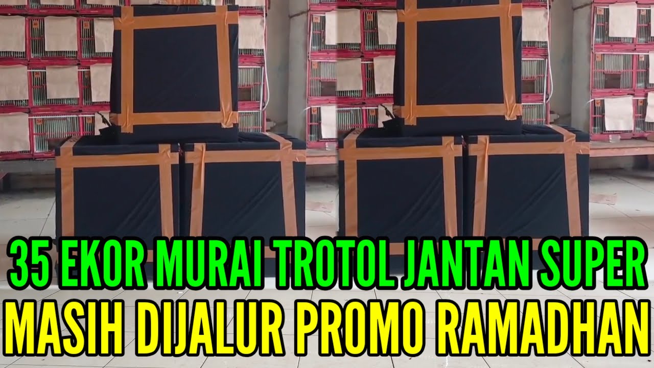 🔴 PROMO CUCI GUDANG SEMUA STOK 0838-7553-6945