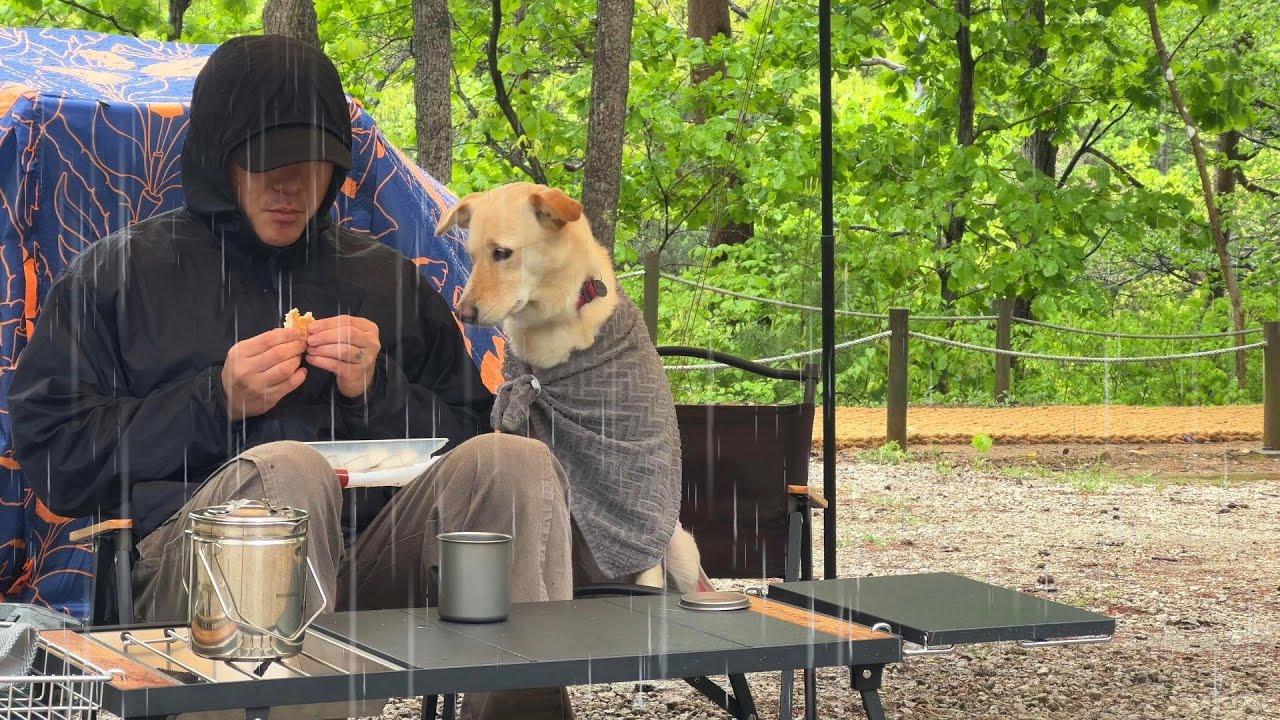 Solo Rain Camping с DOG в лесу