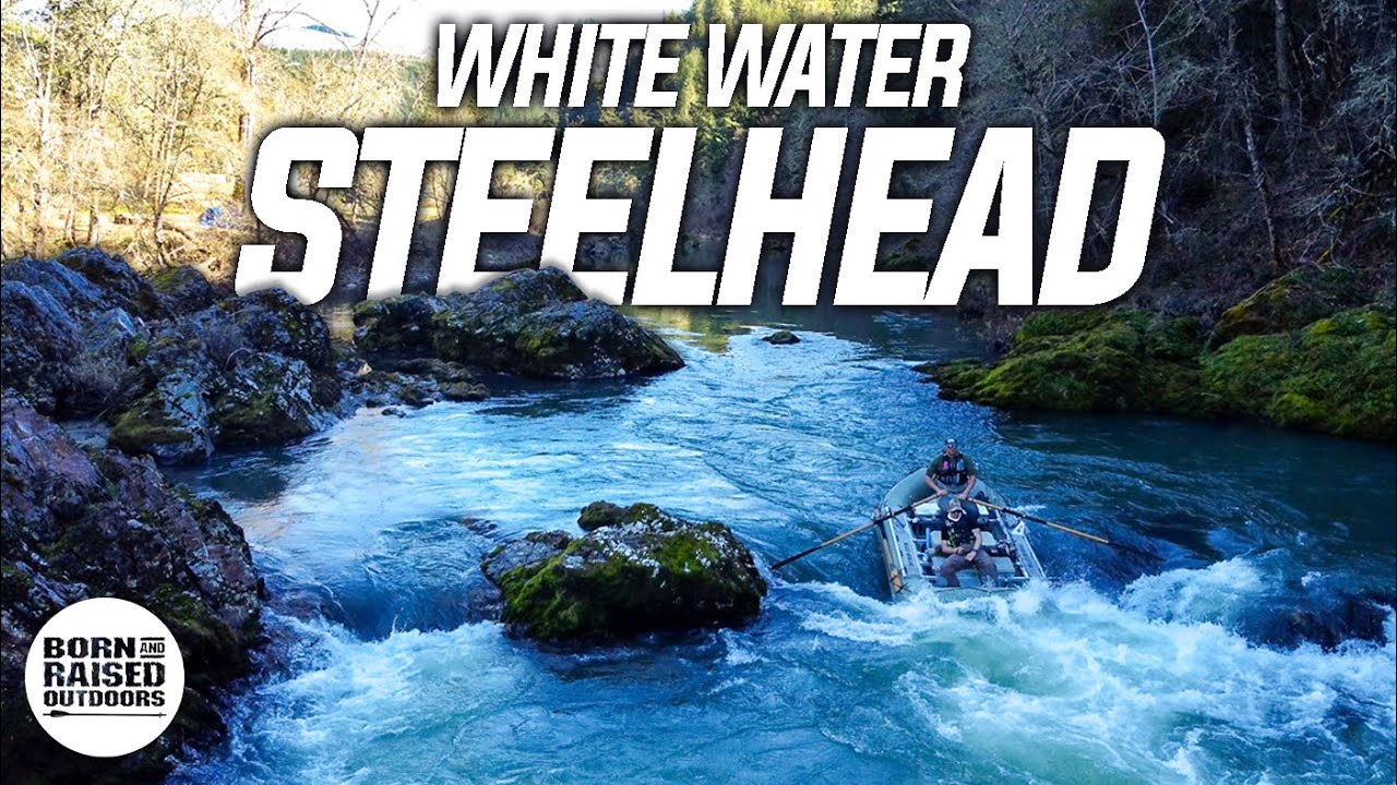 WHITE WATER WINTER STEELHEAD